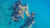 My favorite experience in Los Cabos