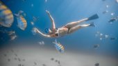 Snorkeling with Sea Turtles
