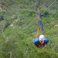 Ziplines
