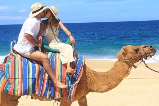 Camel Adventure with Lunch & Tequila Tasting
