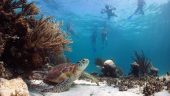 Cabo Pulmo Full Day Snorkel Adventure