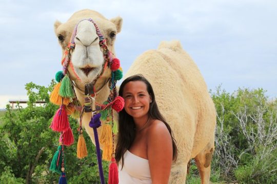 ATV tour, Camel Ride, Tequila tasting & Mexican Buffet lunch