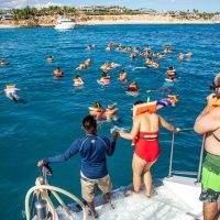 Ports of Call Tours