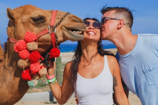 Camel Ride on the beach & Mega Burrito