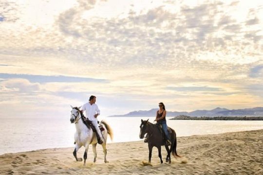 Horseback Riding on The Beach and Through The Desert!