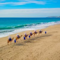 Cruises, Sailing & Water Tours