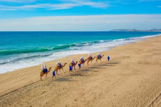 Good Friday in San Jose del Cabo