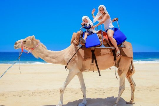 Outback Camel Ride