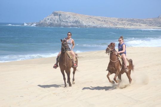 Cabo white sand horseback adventure and Tequila Tasting