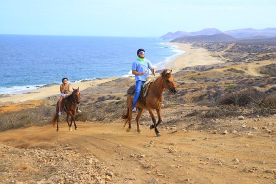 Cabo Horseback Riding on Pacific Beach and Desert
