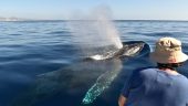 These girls know their whale watching business.