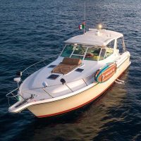 Holiday & Seasonal Tours