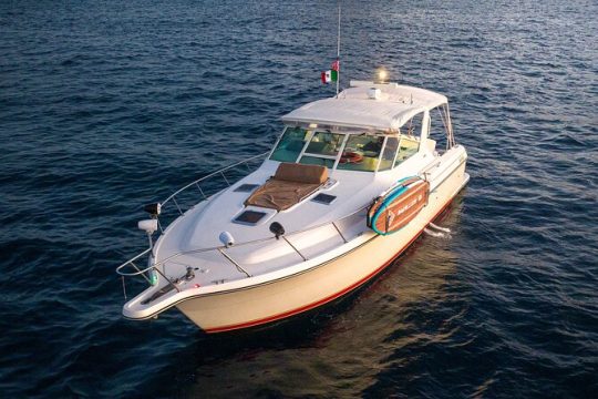 Private Sunset Cruise- 3 Hour
