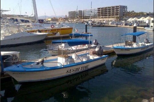 Private Half-Day Sport Fishing in Los Cabos