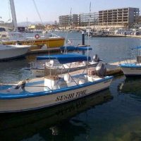 Fishing Charters & Tours