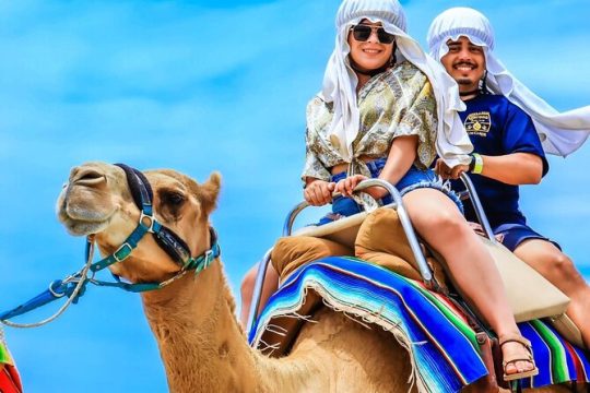 Combo Camel Ride & UTV 4X4 Adventure - Los Cabos