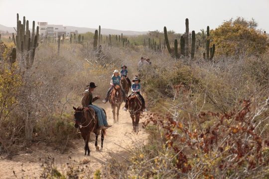 Horseback Riding Tour in Cabo San Lucas