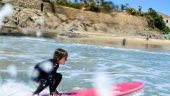 Surf's up! Book with these guys.
