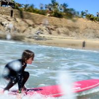 Surfing & Windsurfing
