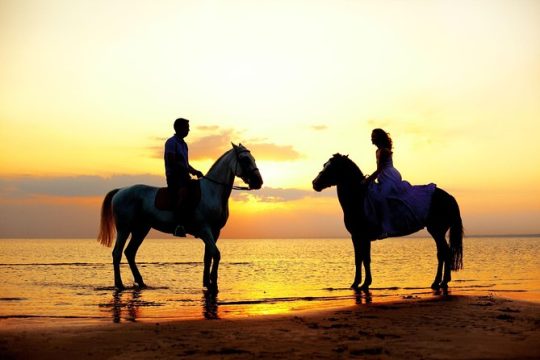 Love is in the air! Private horseback ride on the beach and sunset dinner!
