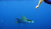First time snorkeling 