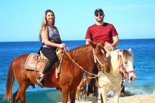 Cabo Desert ATV & Beach Horseback Combo and Tequila Tasting