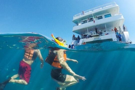 Snorkeling tour in Cabo San Lucas