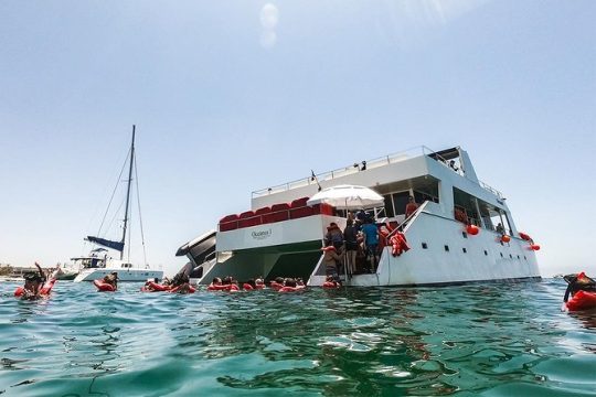 Los Cabos Reef Snorkeling Cruise