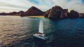 Cabos Whale Watch