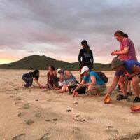 Holiday & Seasonal Tours