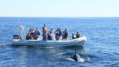 We finally saw a whale!