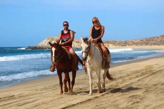 Horseback Riding Adventure in Playa Migriño with Tequila Tasting
