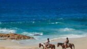 Horseback ride 