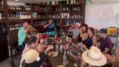 Love Taco Tour