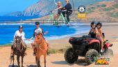 Amazing horseback exerience