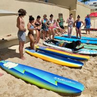 Surfing Lessons