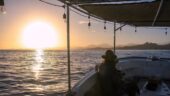 Outstanding Travel Services from Shannon at Cruise Planners.