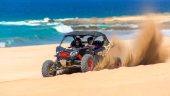 Camels and rzr