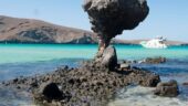 Balandra, Malecon de La Paz y Todos Santos