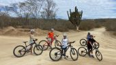 Awesome tour of San Jose. Kristian is so informative. Biking is highly recommended to quaintly discover San Jose.