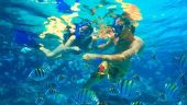 Great snorkeling excursion!