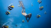Great experience at Chileno Bay beach