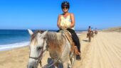 Horseback Ride