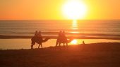 Ride a camel in Mexico ? heck yeah