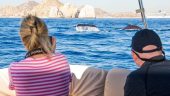 Review for Chino our driver to our Whale watching