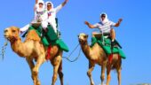 Camel ride adventure 
