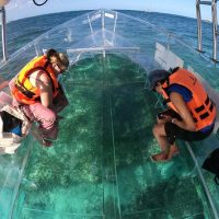 Glass Bottom Boat Tours