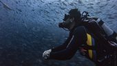 Fun diving in Cabo