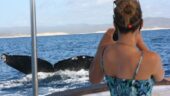 A MUST do in San Jose del Cabo