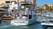 Amazing Cabo fishing!